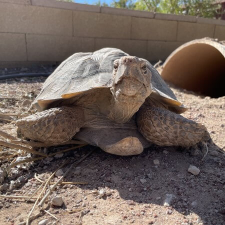 Education-&-Outreach-Image